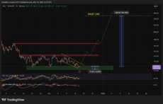 Bitwise Sees Solana Hitting Records in 2026: Major Rally Incoming?