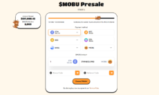 How to buy MoonBull with its presale dashboard