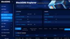 The BlockDAG testnet explorer interface