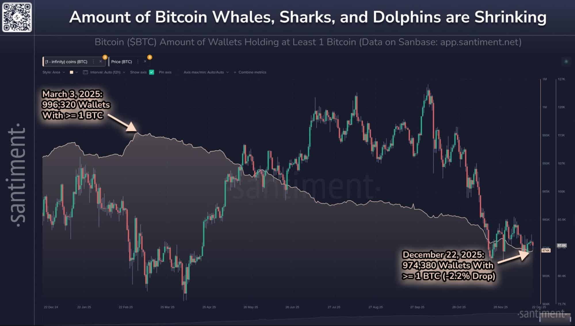 Bitcoin Price Repeats 2021 Patterns, Whales, Shark Wallets on Decline