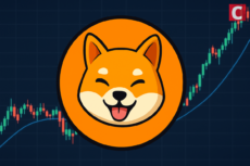 Shiba Inu Whale Activity Spikes as 1 Trillion Tokens Move to Exchanges, What Happens to SHIB Price?