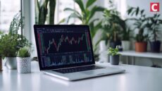 Top 100 Chainlink Wallets Bought $263M LINK: Rally Ahead?