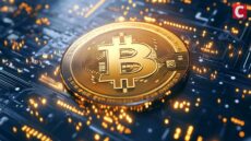 Gold Is Overvalued, Rotation into Bitcoin Is Due: Will 80% BTC Crash Theory Hold?