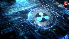Will XRP Price End 2025 in Negative Zone Despite ETF Inflows?