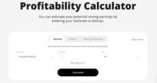 A web interface titled "Profitability Calculator" with input fields for selecting an algorithm and entering a hashrate to calculate mining rewards