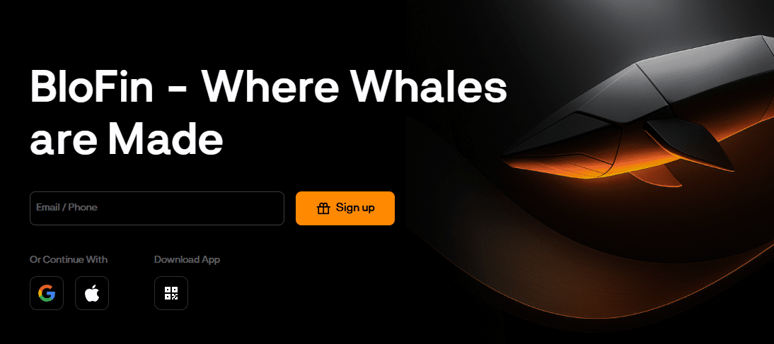 blofin strona główna