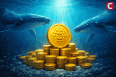 Cardano Price Prediction: Whales Quietly Buy 210 Million ADA – Can ADA Hit $100? 