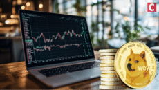 Is Dogecoin Price Preparing 17,000% Pump after Another Elon Musk DOGE Tweet?