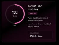 Screenshot showing the countdown to the Vortex FX target DEX listing