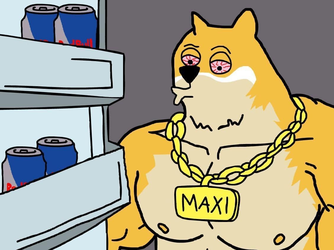 Dogecoin Price Flies Past $0.10: Is Maxi Doge Smartest Meme Coin Buy?