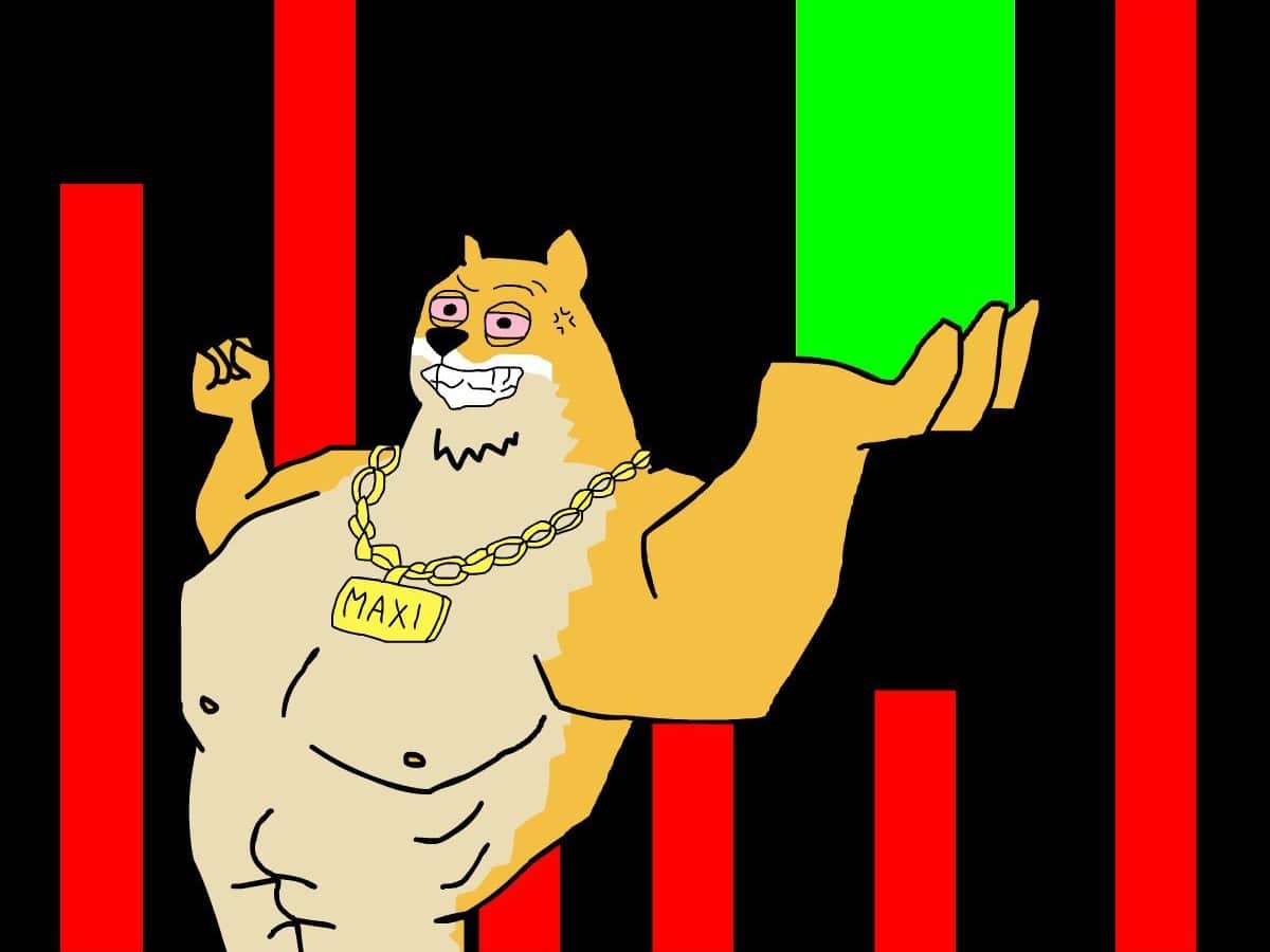 Maxi Doge Blasts High as Crypto Stabilizes Despite Iran War Tensions